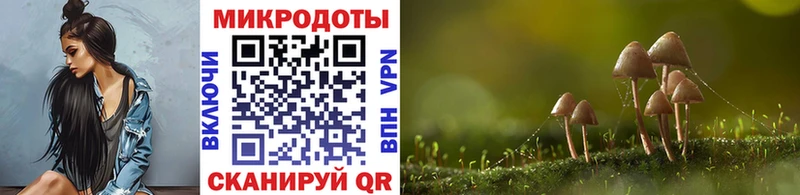 мега сайт  Озёрск  Галлюциногенные грибы Magic Shrooms  даркнет сайт 