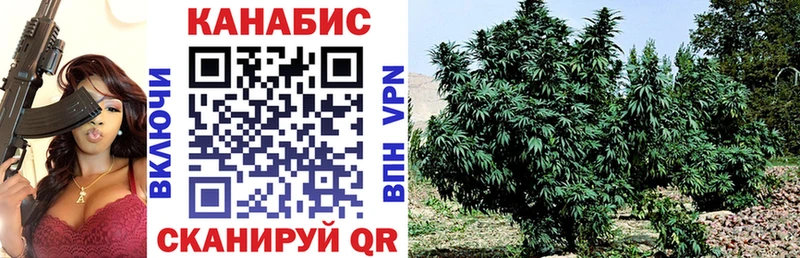 МАРИХУАНА OG Kush Озёрск